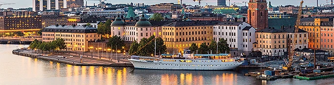 SRF:s Riktlinjedag 2027