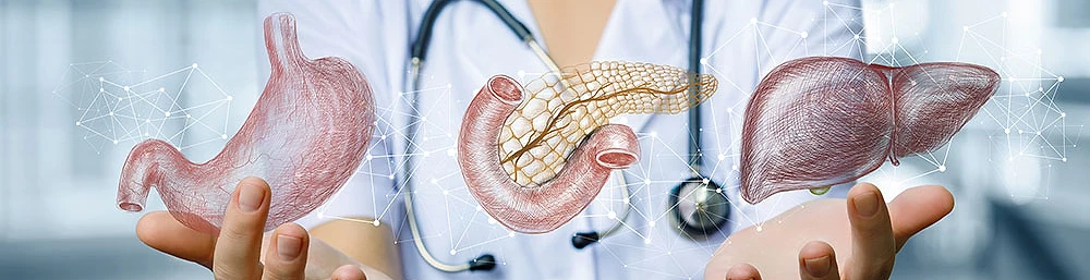 Gastroskolan: Kurs i hepatologi och pankreatologi